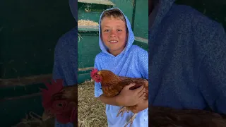 The Maui Farm - Ho olana Keiki Education Program