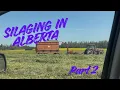 Silaging Continues