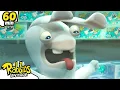 Download Lagu 1H RABBIDS INVASION | SOS The Rabbids are stuck in the freezer! | Animaj Kids