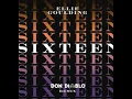 艾丽·高登 Ellie Goulding Sixteen (Don Diablo Remix) 【Sixteen(Don Diablo Remix) 】