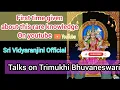 Download Lagu Trimukhi Bhuvaneswari | Mahavidya Bhuvaneswari | Guhya Bhuvaneswari moorti*Only chant with deeksha*