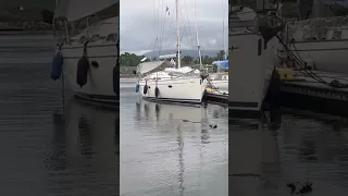 Crocodile in the Marina! 🐊 #boatlife #mvnoeta #nordhavn #shorts