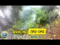 Download Lagu MANCING MENCARI SENTAKAN TITIS-TIPIS MANIS 💢🎣