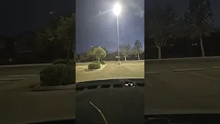 Loot Has Been Scoured 