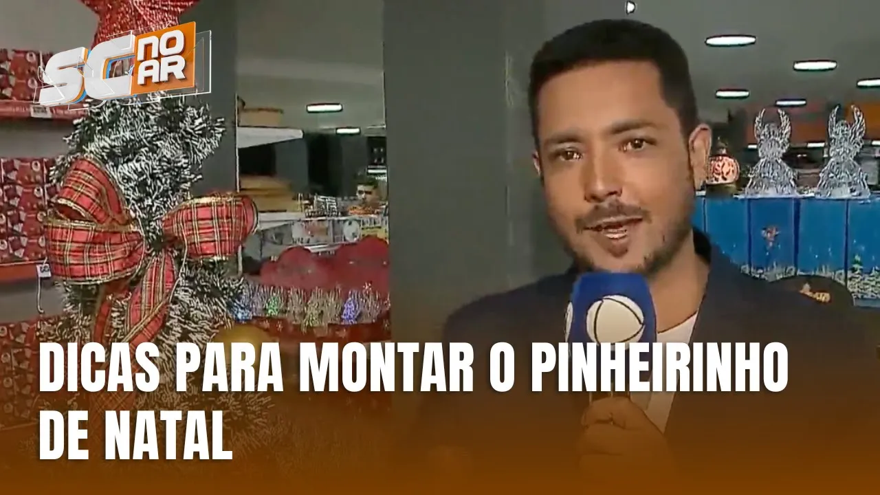 Dicas de decoração para montar o pinheirinho e entrar no clima de Natal
