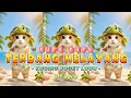 Download Lagu KUPU KUPU TERBANG MELAYANG VERSI KUCING KUCING KUCING MIAU MIAU MIAU