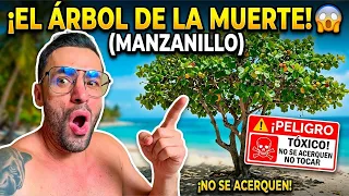 Me sigo recuperando del Manzanillo ☠️🌳‼️
