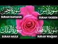 Download Lagu Must Listen! Beautiful Quran Recitation – Surah Yaseen, Rahman, Waqiah, Mulk\