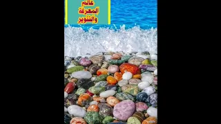 المناجاة الإلهية لابن عطاء السكندري بصوت محمد سعيد رمضان البوطي 