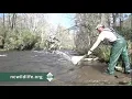 NC Wildlife Stocking Trout in North Carolina