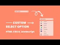Custom Select Option Javascript