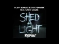 Download Lagu Robin Schulz & David Guetta ft  Cheat Codes   Shed A Light Riddler Remix