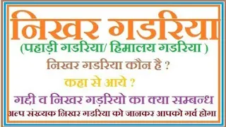 nikhar gadaria pahadi gadariya 
