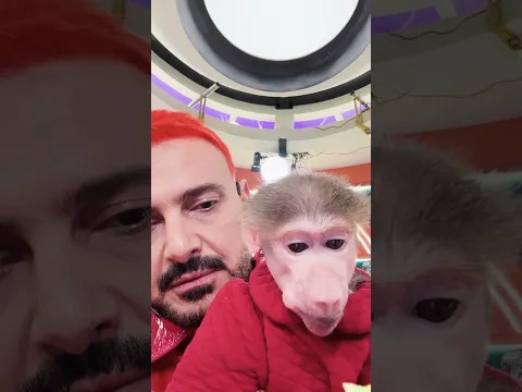 توته فى الاكل حدوته 🐒😍