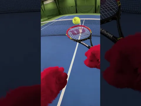 POV: Red Plays Tennis! 🎾