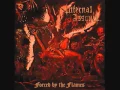 Download Lagu Infernal Assault - Coven Of Darkness