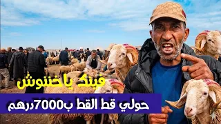 مباشرة من رحبة الغنم بسيدي يحيى الغرب اثمنة صاروخية وغير مسبوقة والمواطنين ساخطين