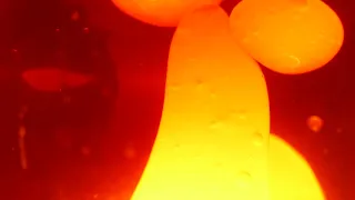 Lava Lamp 4k Yellow Orange Liquid 3 Hours of Relaxing Long