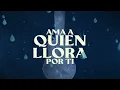 Las Pastillas del Abuelo . Ama a quien llora por tí . Video lyric