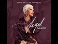 Show Me Your Wonders - Angel Taylor