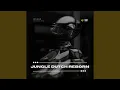 Download Lagu Jungle Dutch Reborn