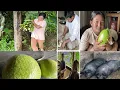 Download Lagu Sharmila works a lot||She cooks eats and gives to others@sarmilarai-ic3rz