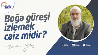 Boğa güreşi izlemek caiz midir?