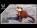 Where To Find Otters In Fjordur ARK Surviva Evolved