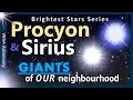 Procyon Sirius GIANTS of Our Neighbourhood