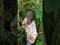 Download Lagu Tenge Tenge 🤣😃 tange tange comedy tiktok | #tenge #viral #trending #shorts  #youtubeshorts
