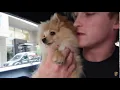 Logan Paul predicts Kong s Death