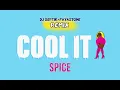 Spice - Cool It (Dj Septik & Fayastone Remix)