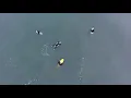 Kill Devil Hills - A Surf Movie Directors Cut