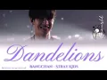 Bangchan | Dandelions - Ai Cover | Stray kids Bangchan♡