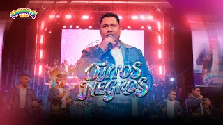 Armonía 10 de Walther Lozada - Ojitos Negros (Video Oficial)