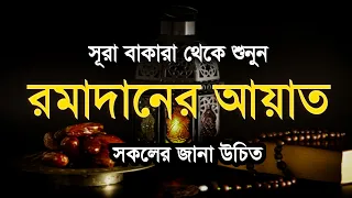 beautiful quran tilawat surah baqarah ayah of ramadan sheikh masud