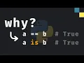 is vs Explained in Detail in Python