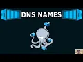 Networking Basics with Docker Compose