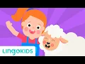 Mary Had a Little Lamb 🐑🎶 Nursery Rhymes | Lingokids