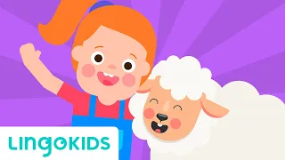 Download Mary Had a Little Lamb 🐑🎶 Nursery Rhymes | Lingokids MP3