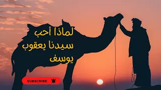 من اروع القصص سر حب سيدنا يعقوب ل يوسف وأخيه 