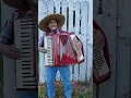 Download Lagu Xodozinho Sanfonando - Rancheira