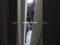Lagu this is not my cat #catoftheday #blackcat #cat #catlovers #cutecat @sarakauffman24