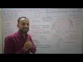 6 nucleus nuclear envelope nucleoplasm nucleolus chromatin chromosome DNA