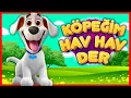 Download Lagu Köpeğim Hav Hav Der | Eğlenceli Bebek ve Çocuk Şarkısı | Tele Bebe