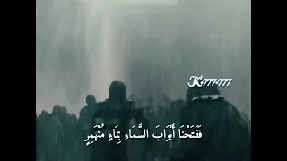 السيد سعيد من سورة القمر 