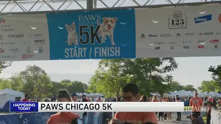 PAWS Chicago 5K kicks off at Montrose Harbor