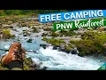 FREE Camping In the PNW Rainforest At HOH Oxbow