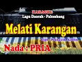Download Lagu NADA PRIA LAGU PALEMBANG - MELATI KARANGAN - KARAOKE