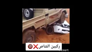 ركبين الشاص 